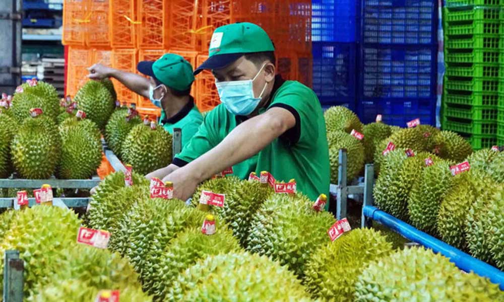 Farm produce traceability system unveiled in push for digital agriculture